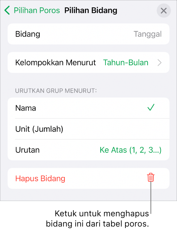 Menu Pilihan Bidang, menampilkan kontroll untuk mengelompokkan dan mengurutkan data, serta pilihan untuk menghapus bidang.