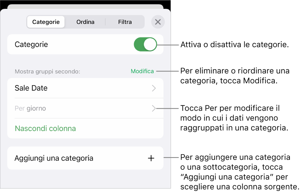 Il menu delle categorie in iPhone con opzioni per disattivare le categorie, eliminare le categorie, raggruppare i dati, nascondere una colonna sorgente e aggiungere le categorie.