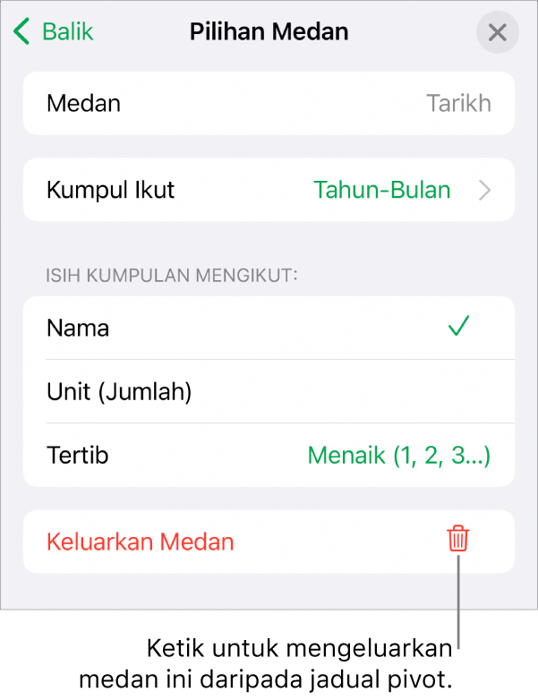 Menu Pilihan Medan, menunjukkan kawalan untuk mengumpulkan dan mengisih data, juga pilihan untuk mengeluarkan medan.