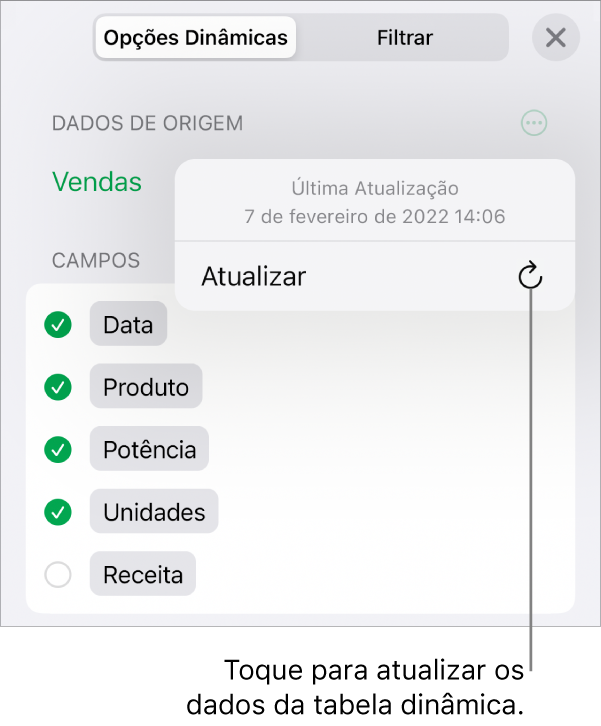 Aba Opções Dinâmicas mostrando a opção de atualizar a tabela dinâmica.