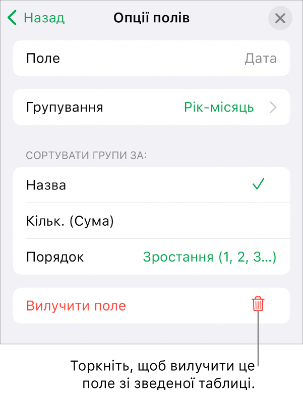 Меню «Опції полів» з елементами керування для групування і сортування даних і з опцією для вилучення поля.