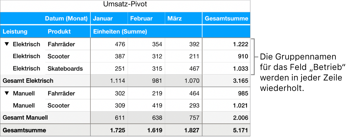 Ein Pivot-Diagramm mit den in jeder Zeile wiederholten Gruppennamen „Elektrisch“ und „Manuell“ für das Feld „Betrieb“