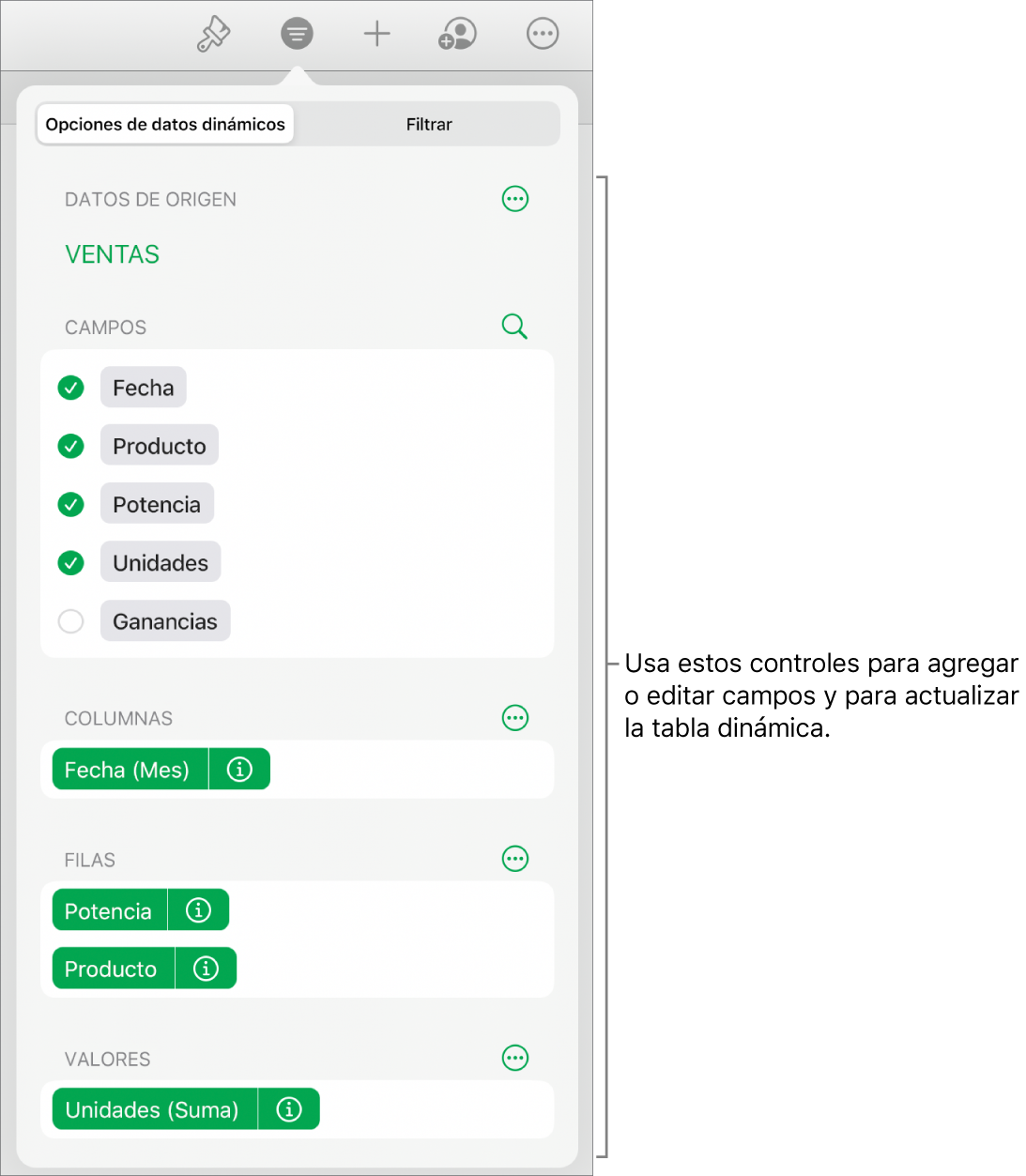 El menú “Opciones de datos dinámicos” mostrando los campos de las secciones Columnas, Filas y Valores, así como los controles para editar los campos.