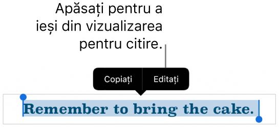 O propoziție este selectată și deasupra acesteia se află un meniu contextual cu butoanele Copiați și Editați.