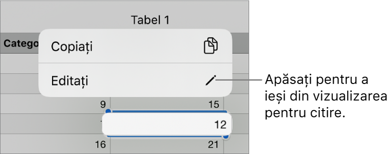 O celulă de tabel este selectată și deasupra acesteia se află un meniu cu butoanele Copiați și Editați.