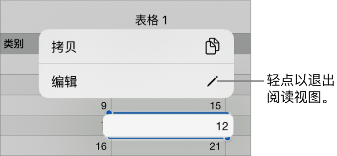 一个表格单元格被选中，其上方是带有“拷贝”和“编辑”按钮的菜单。