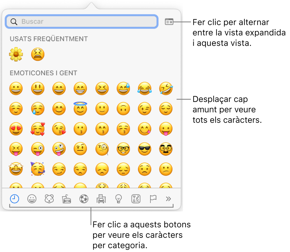 La finestra emergent “Caràcters especials”, amb emoticones, botons per a diversos tipus de símbols a la part inferior i una llegenda d’un botó per mostrar la finestra “Caràcters especials” completa.