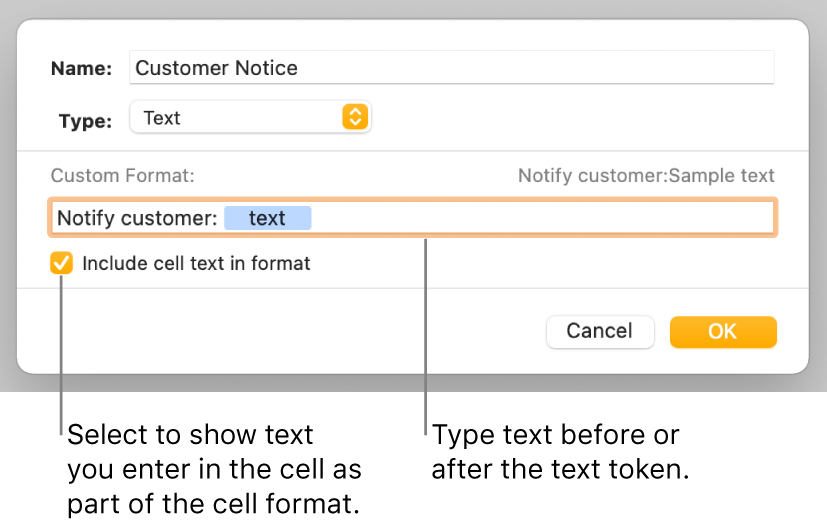 The custom cell format window with controls for choosing custom text formatting.