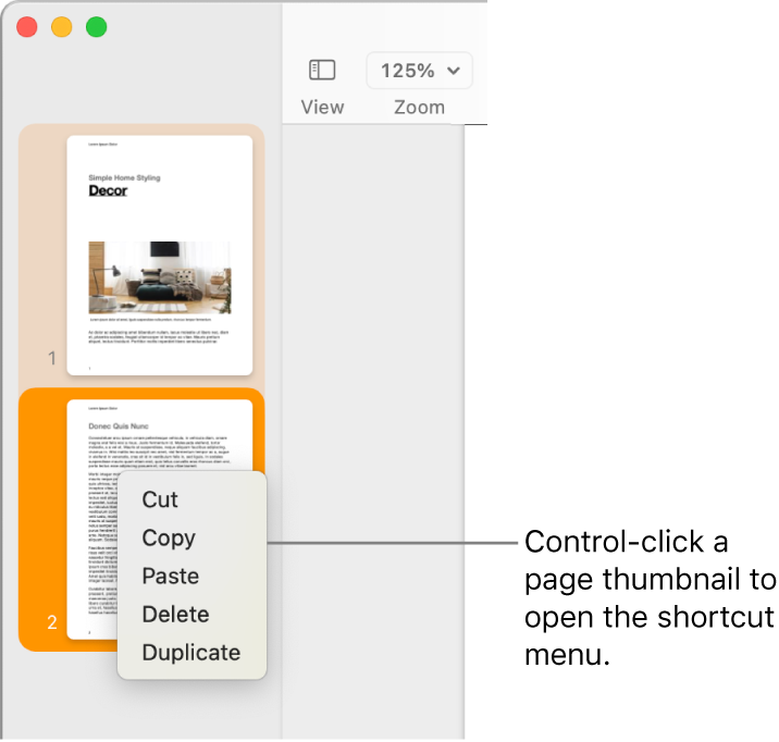 Page Thumbnails view with one thumbnail selected and the shortcut menu open.