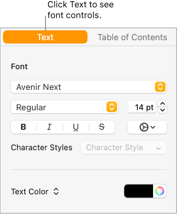 The Format sidebar with the Text tab selected and font controls for changing the font, font size, and adding character styles.