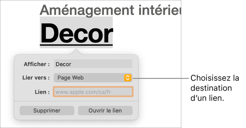 Les commandes de l’éditeur de liens avec les champs Affichage et Lien ainsi que le menu contextuel Liens vers (destination : Page Web). Les boutons Supprimer et Ouvrir le lien se trouvent au bas des commandes.