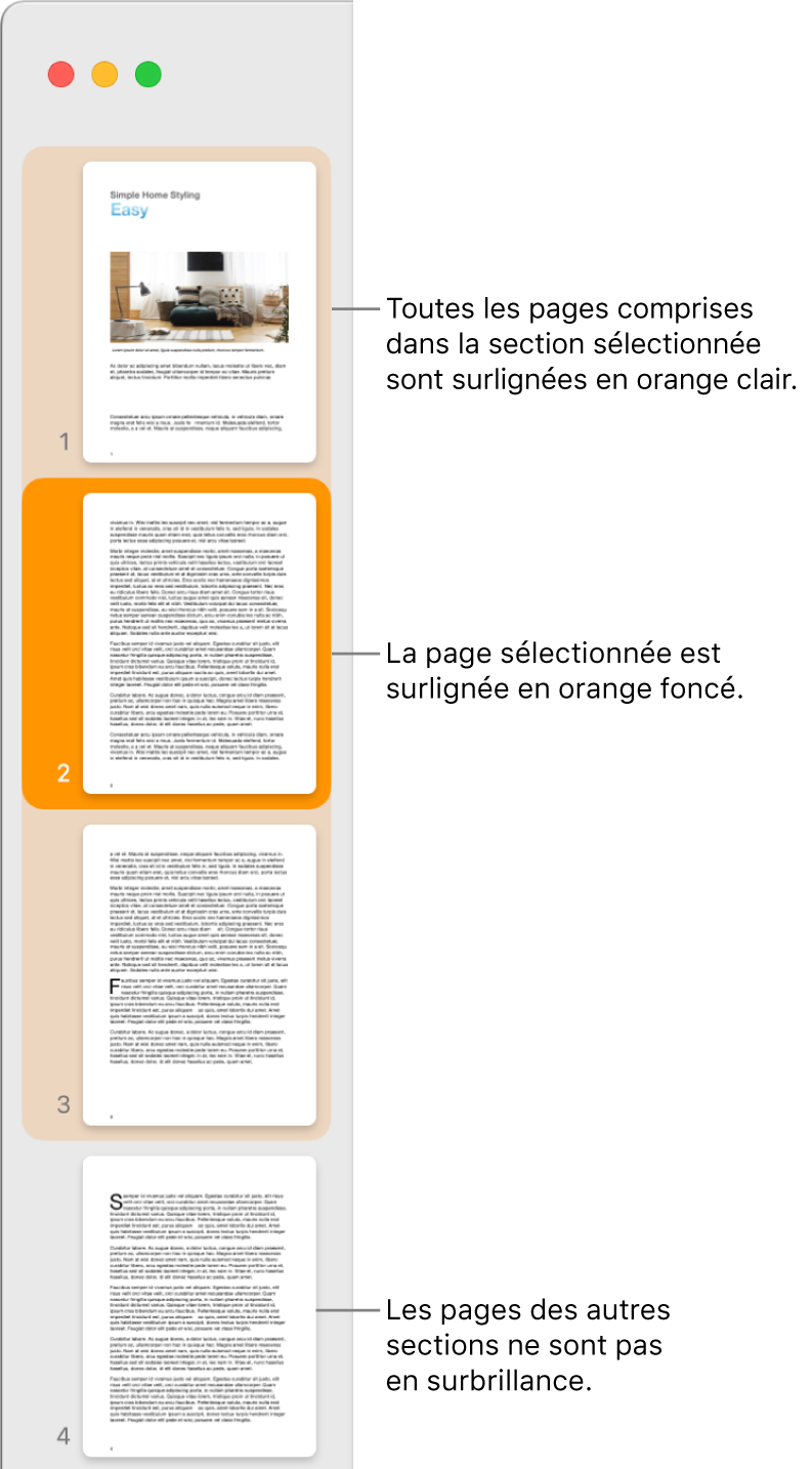 La Présentation des pages sous forme de vignettes dans la barre latérale avec la page sélectionnée surlignée en orange foncé et l’ensemble des pages de la section sélectionnée surligné en orange clair.