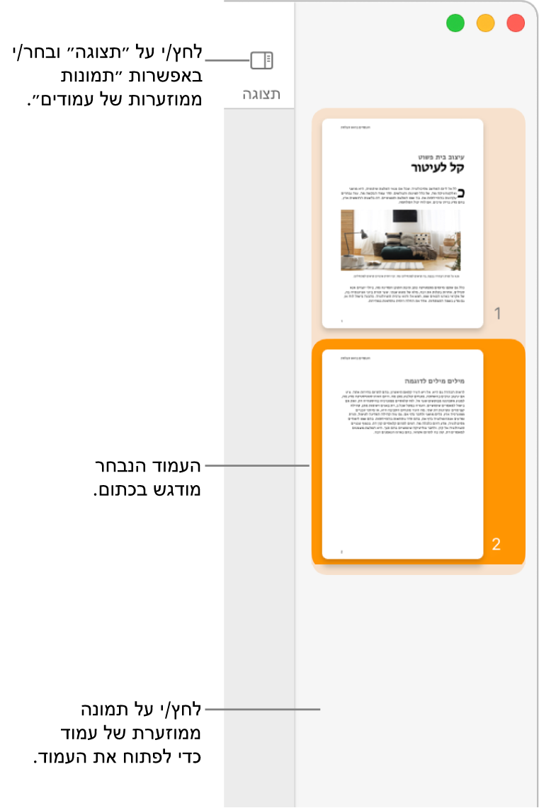 סרגל הצד בחלק השמאלי של חלון Pages, עם התצוגה ״תמונות ממוזערות של עמודים״ פתוחה והעמוד הנבחר מסומן בכתום כהה.