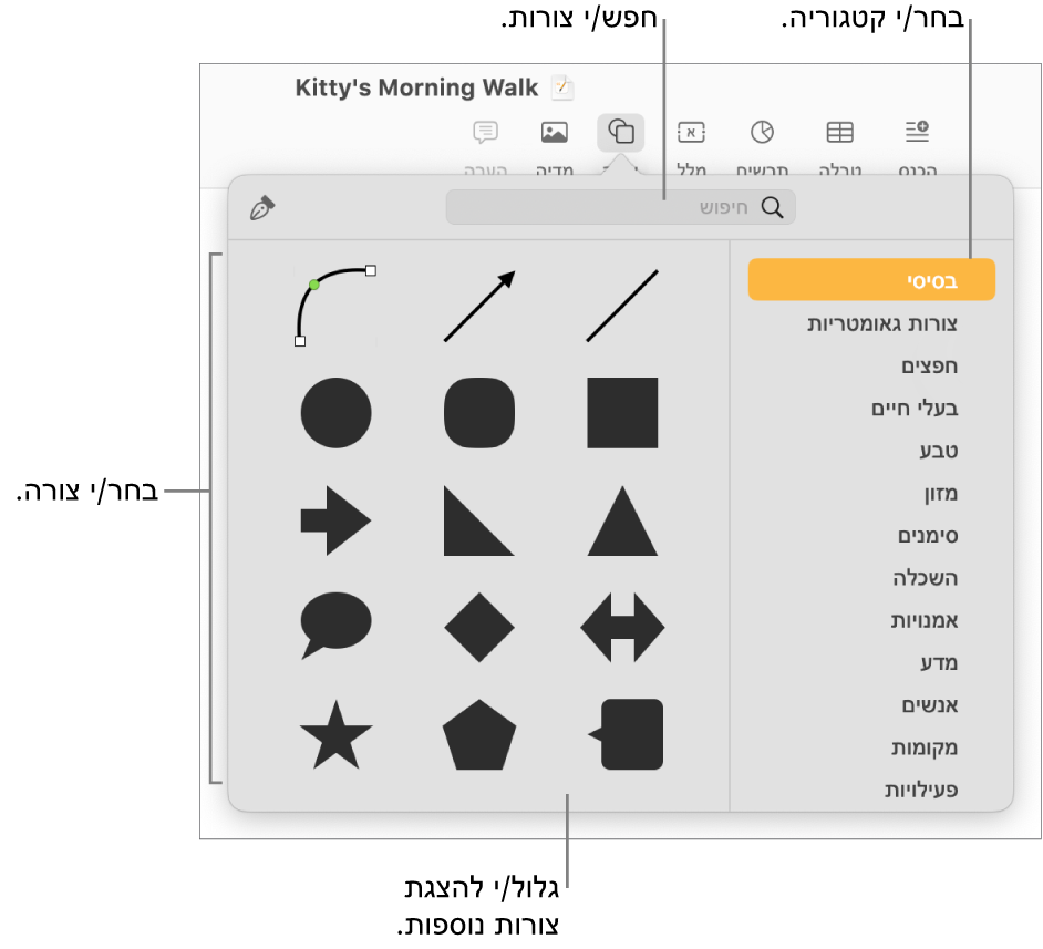 ספריית הצורות, כשקטגוריות מפורטות מצד שמאל וצורות מוצגות מצד ימין. ניתן להשתמש בשדה החיפוש בראש המסך כדי למצוא צורות ולגלול כדי להציג עוד.