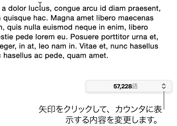 単語数のメニュー。書類の単語数が表示された状態。