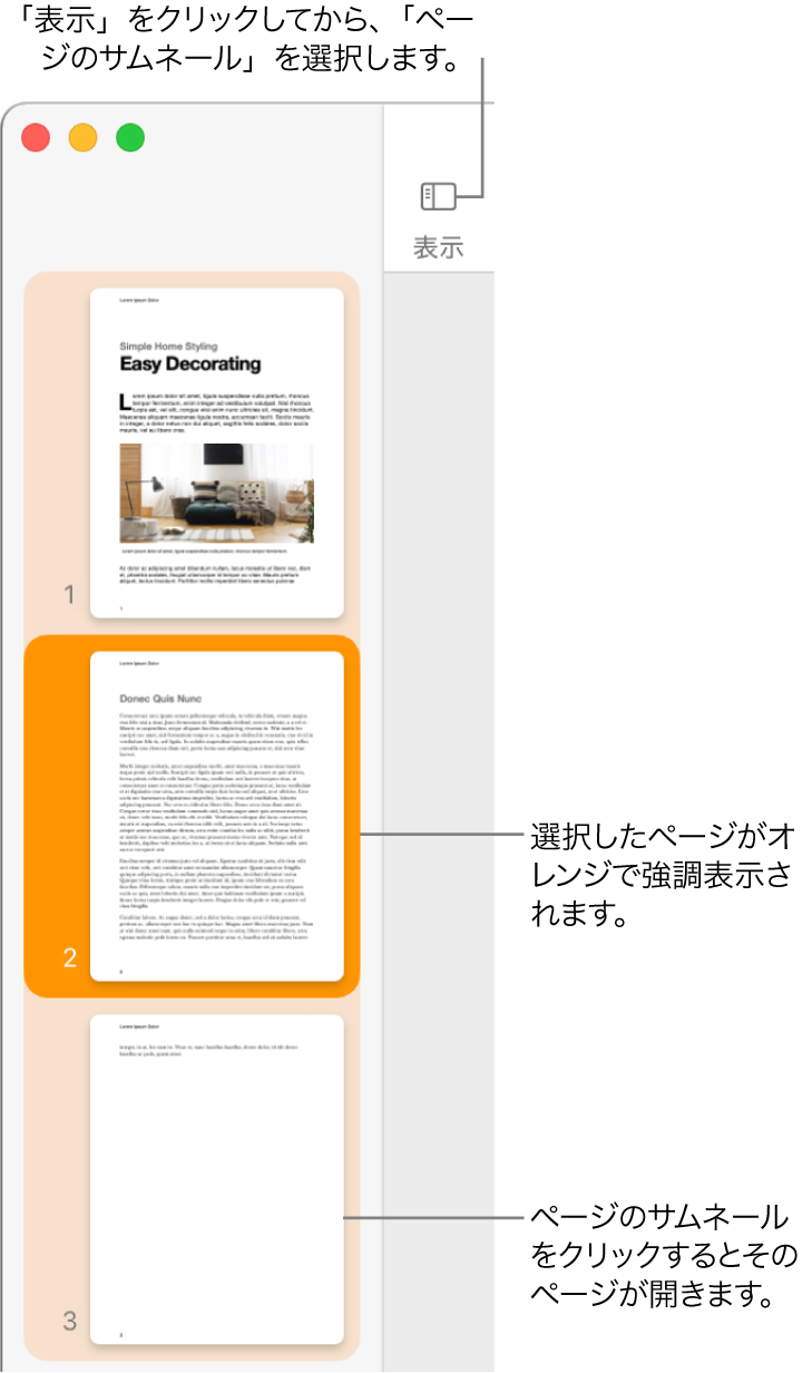 「Pages」ウインドウの左側のサイドバー。ページのサムネール表示が開いていて、選択したページがダークオレンジでハイライトされています。