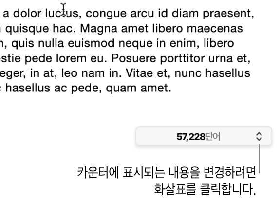 문서 단어 수를 보여주는 단어 수 메뉴.