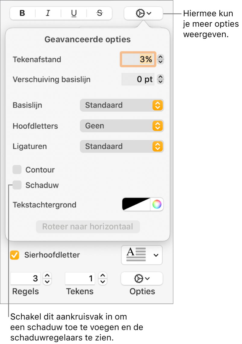 Het menu 'Geavanceerde opties' met het aankruisvak 'Schaduwen' ingeschakeld en regelaars voor het instellen van de vervaging, afstand, ondoorzichtigheid, hoek en kleur.