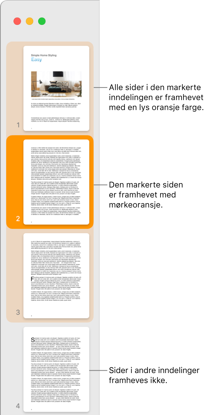 Miniatyrvisning-sidepanelet med den markerte siden uthevet i mørk oransje og alle sider i den markerte inndelingen uthevet i lys oransje.