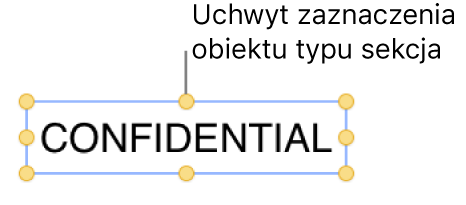 Obiekt z uchwytami zaznaczenia.