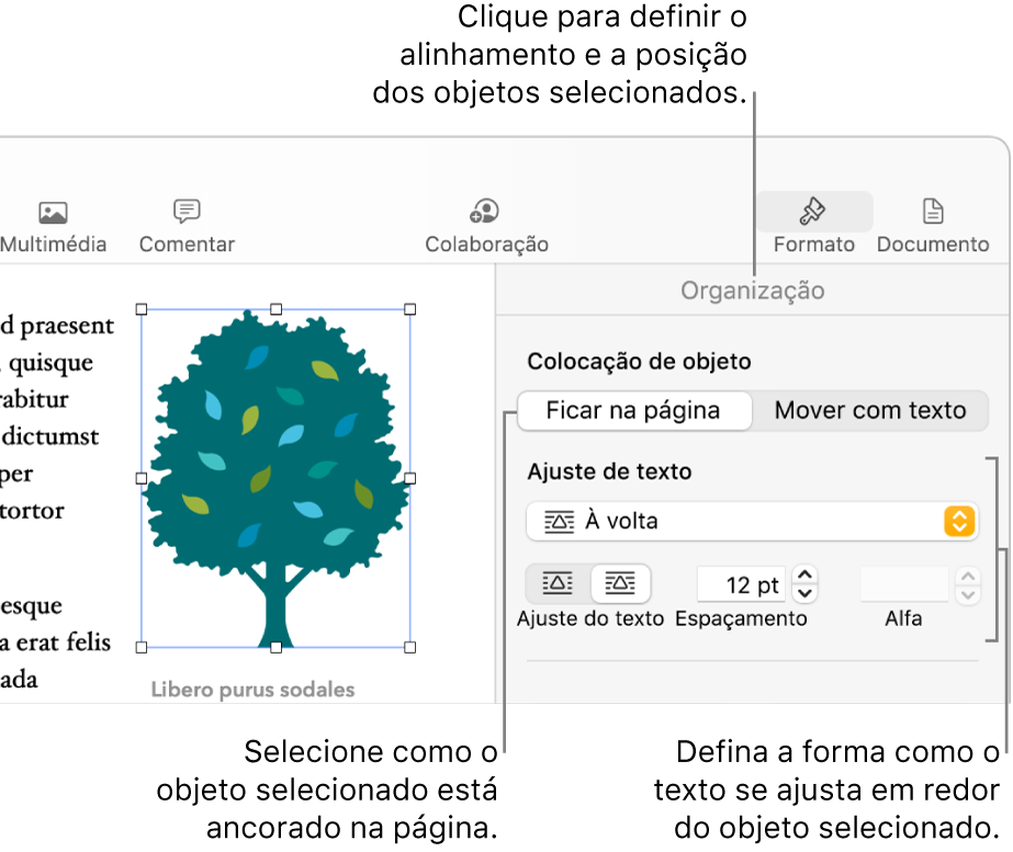 O menu Formatação com a barra lateral Organização visível. As definições “Colocação de objeto” estão na parte superior da barra lateral Organização, com as definições “Ajuste de texto” por baixo.