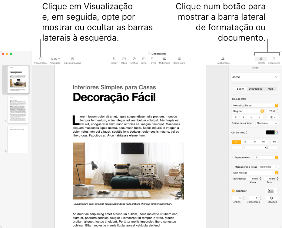 A janela do Pages com chamadas para o botão de menu Visualização e os botões de Formatação e Documento na barra de ferramentas. Barras laterais abertas à esquerda e à direita.