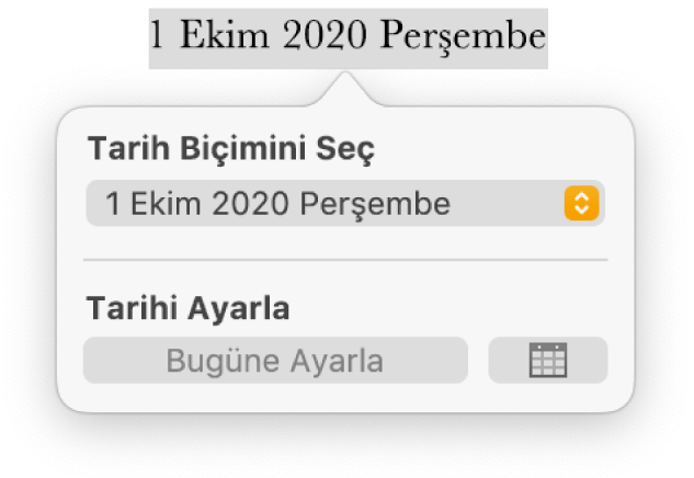 Tarih biçimi için bir açılır menünün ve Bugüne Ayarla düğmesinin gösterildiği Tarih ve Saat denetimleri.