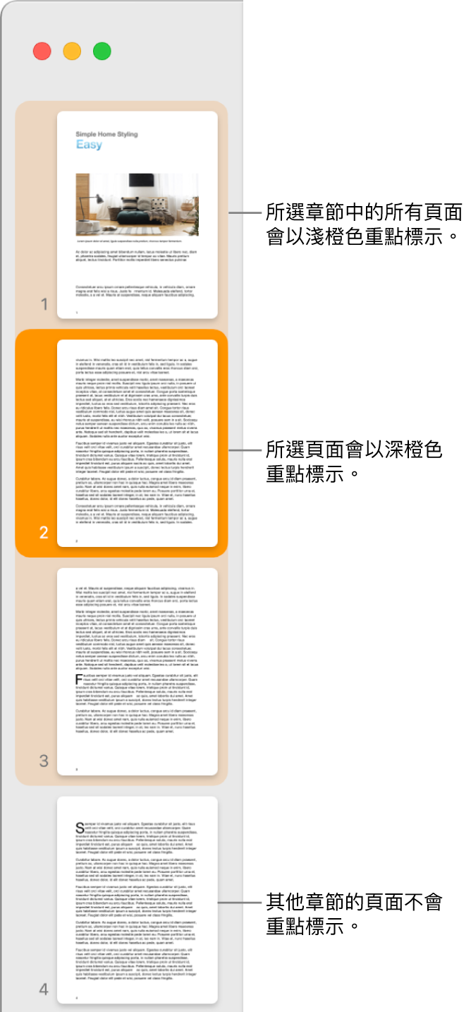 「縮圖顯示方式」側邊欄，所選取的頁面以深橙色重點標示，所選擇章節中的全部頁面則以淺橙色重點標示。