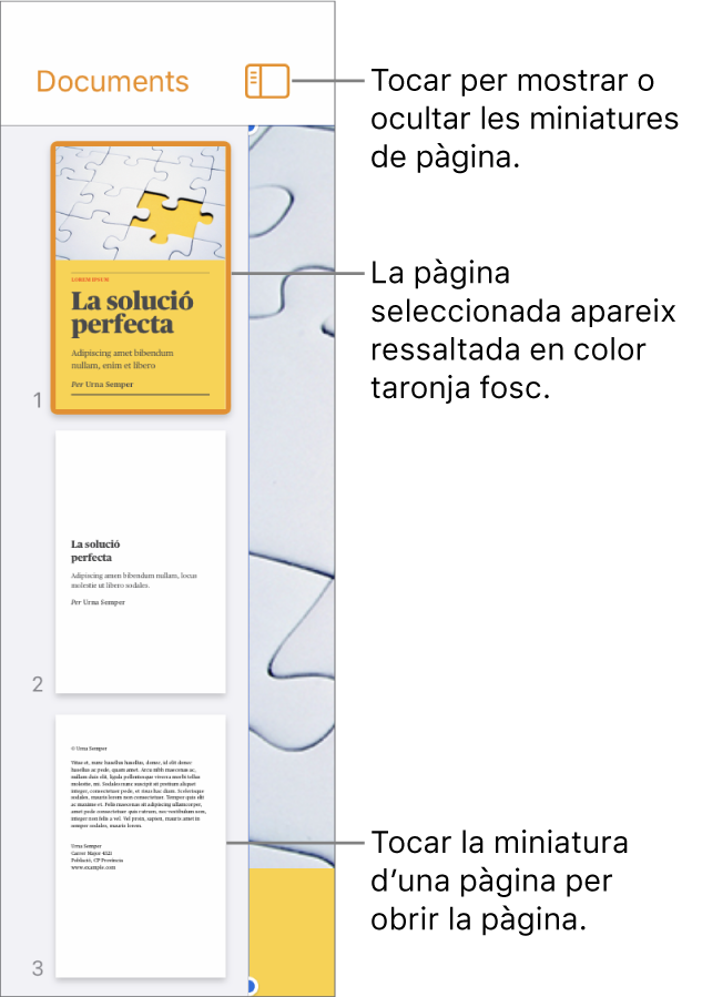 Vista “Miniatures de pàgina” a la part esquerra de la pantalla amb una pàgina seleccionada. El botó “Opcions de visualització” a sobre de les miniatures.