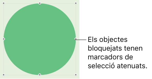 Un objecte bloquejat, amb els marcadors de selecció atenuats.