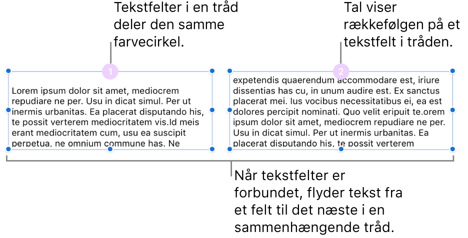 To tekstfelter med lilla cirkler øverst og tallene 1 og 2 i cirklerne.