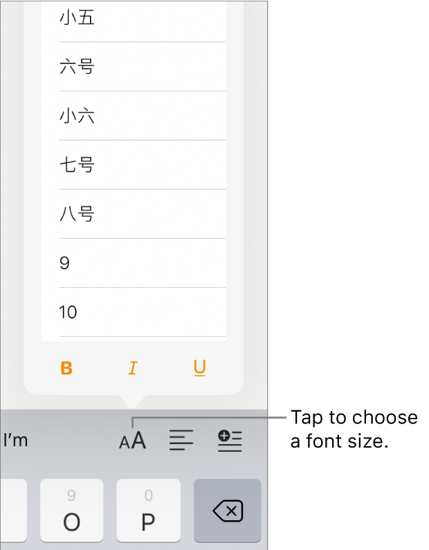 The Font Size button on the right side of the iPad keyboard with the Font Size menu open. China mainland government standard font sizes appear at the top of the menu with point sizes below.