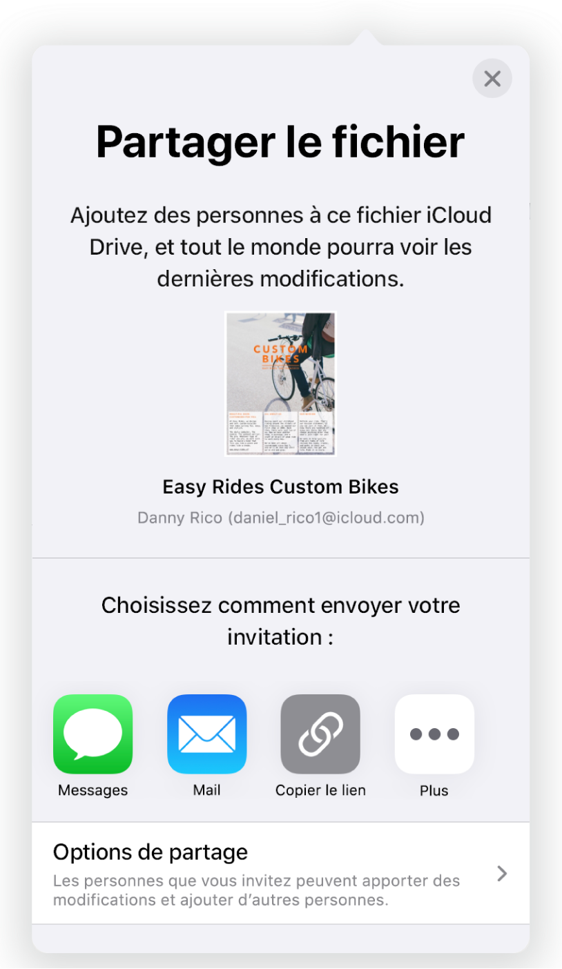 L’écran Ajouter des personnes affichant une image du document à partager. En dessous se trouvent des boutons permettant d’envoyer l’invitation de diverses façons, notamment les boutons Mail, Copier le lien et Plus. Au bas se trouve le bouton Options de partage.