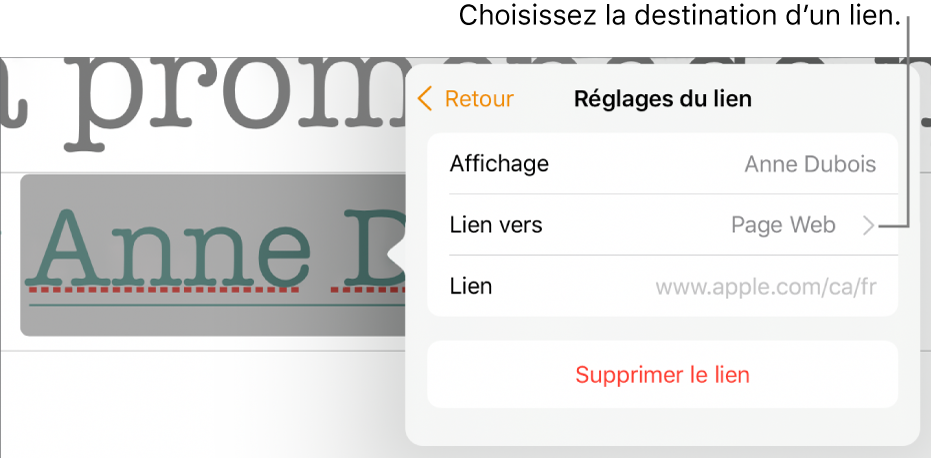 Les commandes Réglages du lien avec les champs Afficher, Lien vers (réglage : Page Web) et Lien. Le bouton Supprimer le lien se trouve au bas des commandes.