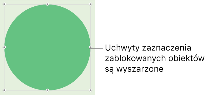 Zablokowany obiekt z wyszarzonymi uchwytami zaznaczenia.