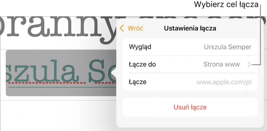 Narzędzia Ustawienia łącza, zawierające następujące pola: Wygląd, Łącze do (ustawione na Strona www) oraz Łącze. Na dole widoczny jest przycisk Usuń łącze.