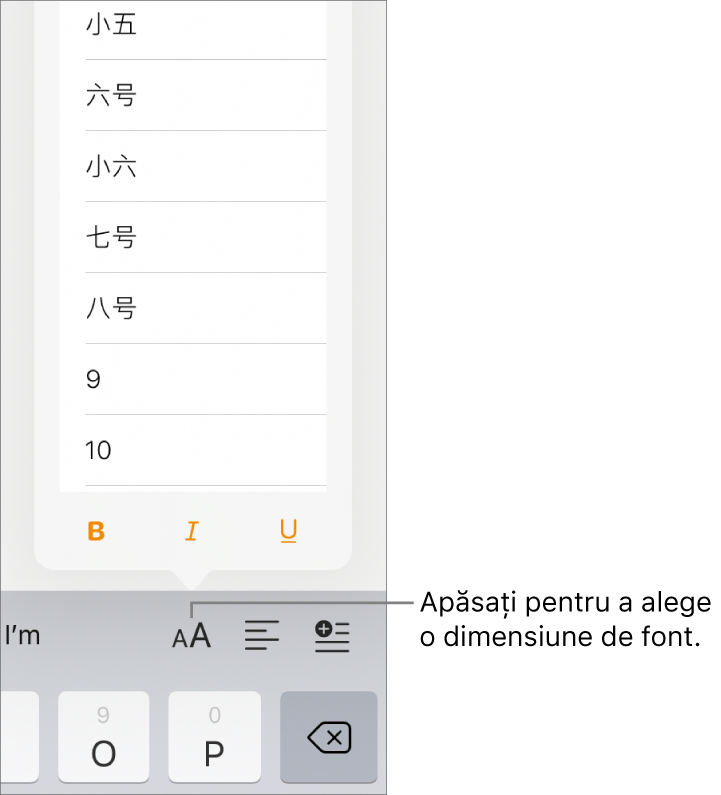 Butonul Dimensiune font aflat în partea dreaptă a tastaturii iPad, având deschis meniul de dimensiune a fontului. Dimensiunile de font standard ale guvernului Chinei continentale apar în partea de sus a meniului, având în partea de jos dimensiunile pentru punct.