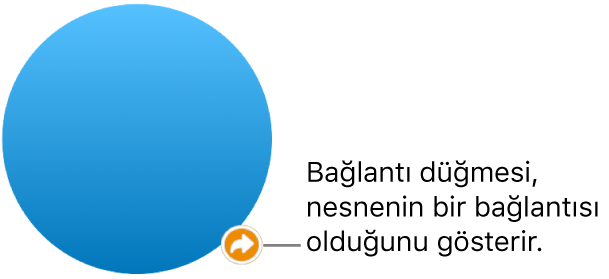Şekildeki bağlantı düğmesi.