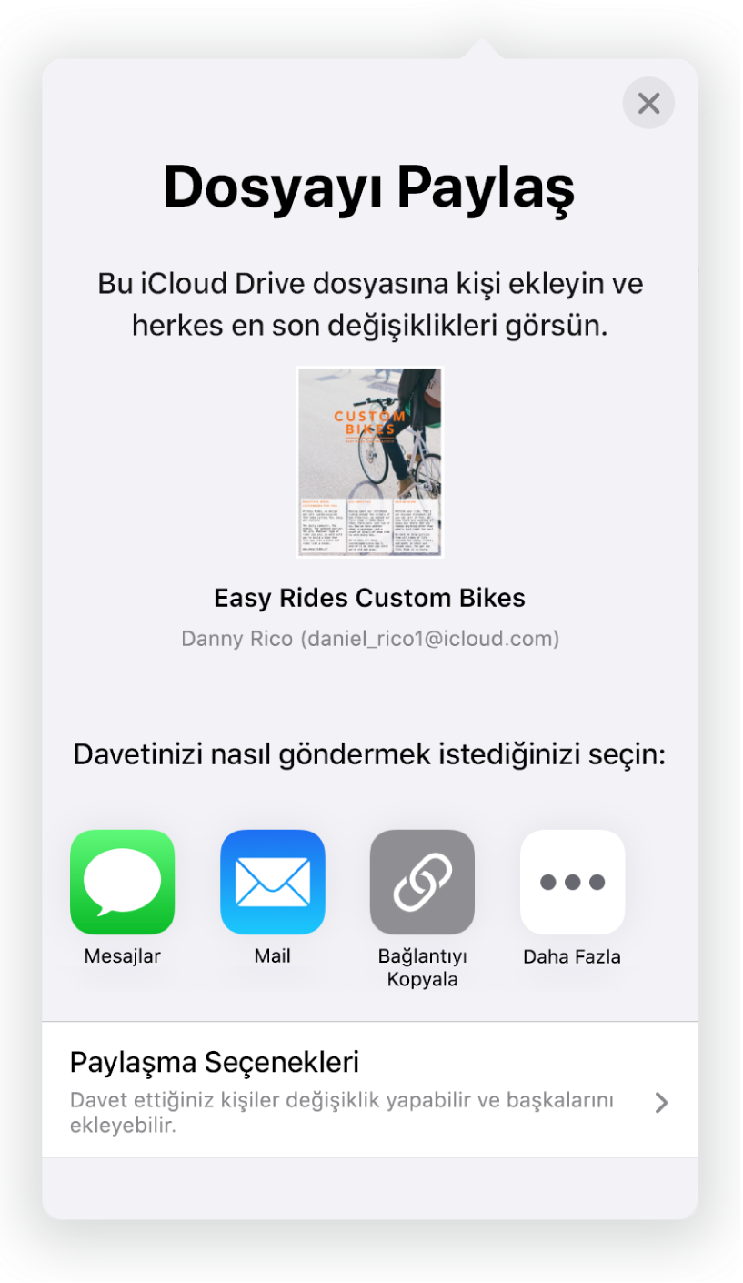Kişi Ekle ekranı, paylaşılacak belgenin bir resmini gösteriyor. Onun altında Mail, Bağlantıyı Kopyala ve Diğer de dahil olmak üzere çeşitli davet gönderme yolları için düğmeler var. En altta Paylaşma Seçenekleri düğmesi bulunuyor.