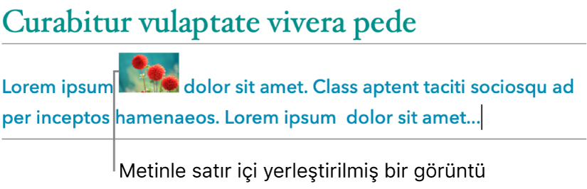 Görüntü, metinle satır içi olarak yerleştirilir.