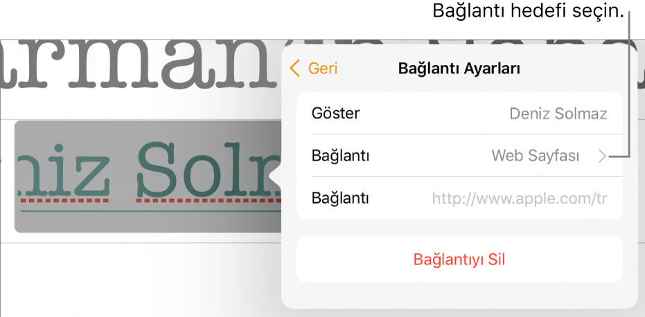 Göster alanı, Bağlantı (Web Sayfası’na ayarlanmış) ve Bağlantı alanı ile Bağlantı Ayarları denetimleri. Bağlantıyı Kaldır düğmesi denetimlerin en alt kısmındadır.