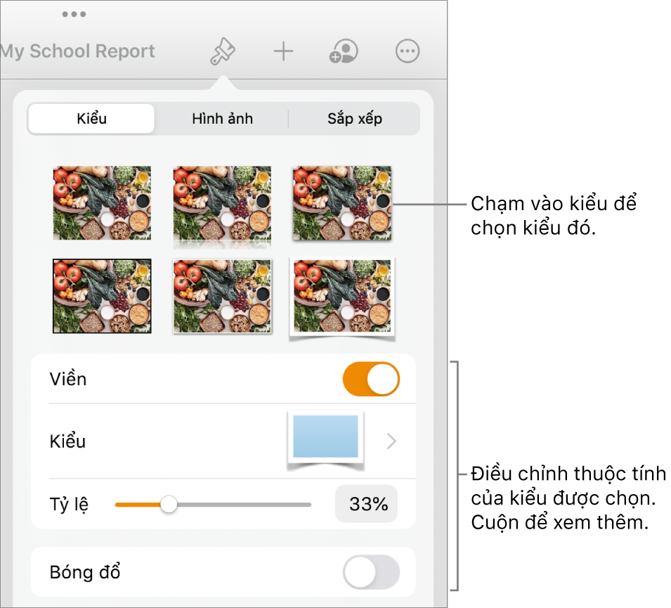 Tab Kiểu của menu Định dạng với các kiểu đối tượng ở đầu và các điều khiển ở bên dưới để thay đổi đường viền, bóng, phản chiếu và độ mờ.