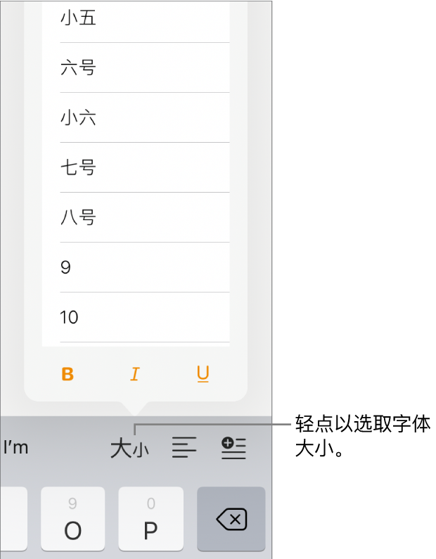 iPad 键盘右侧的“字体大小”按钮，其中“字体大小”菜单已打开。中国大陆政府标准字号显示在菜单顶部，点值位于下方。