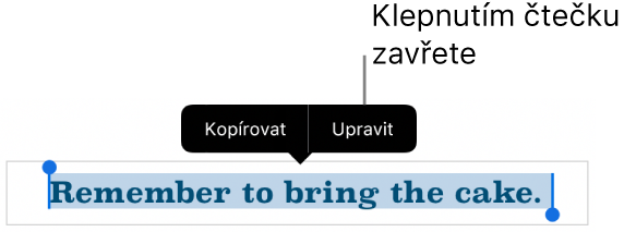 Je vidět vybraná věta; nad ní se nachází místní nabídka s tlačítky Kopírovat a Upravit