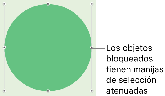 Un objeto bloqueado con manijas de selección atenuadas.