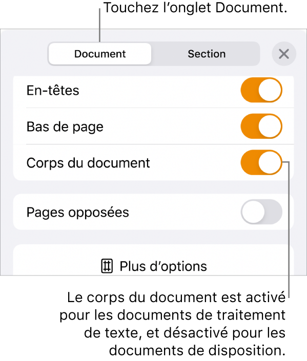 Les commandes Format du document et Corps du document activées vers le bas de l’écran.