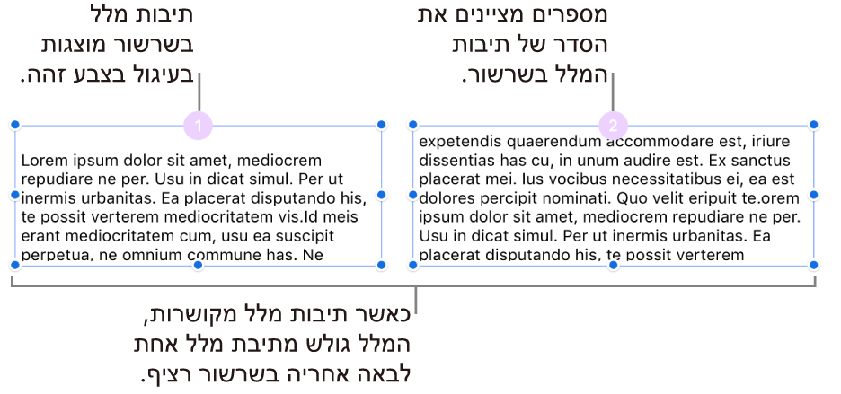 שתי תיבות מלל עם עיגולים סגולים בראשן והמספרים 1 ו-2 בעיגולים.