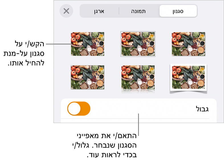 הכרטיסייה ״סגנון״ בתפריט ״עיצוב״ עם סגנונות אובייקטים בחלק העליון ומתחת להם כלי בקרה לשינוי הגבול.