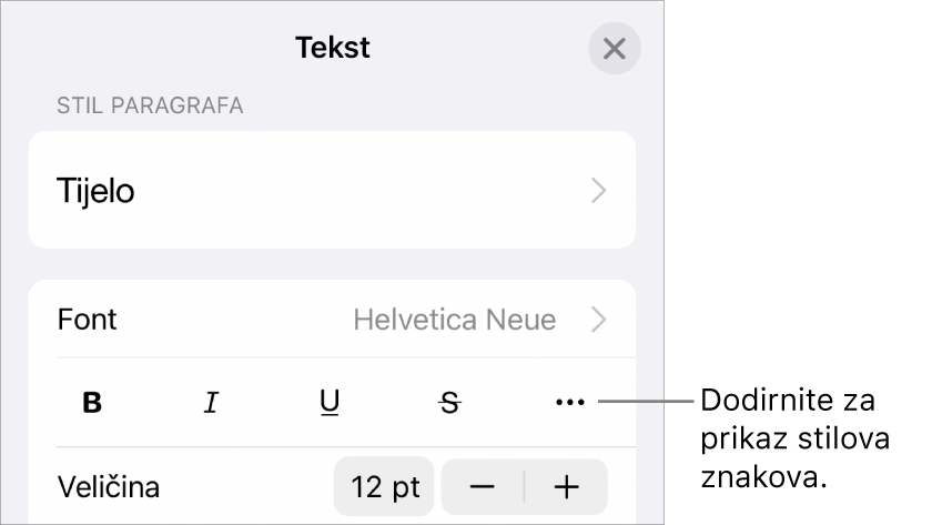 Kontrole opcije Formatiraj s tipkama za opcije teksta Podebljano, Kurziv, Podcrtavanje, Precrtavanje i Više.