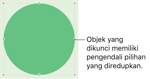 Sebuah objek yang terkunci dengan pengendali pilihan yang diredupkan.